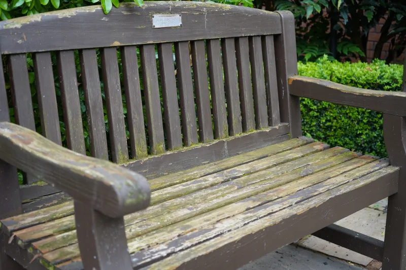 Halliwell Jones MINI Team Spruces Up Garden at Countess of Chester Hospital - Image 416876/2