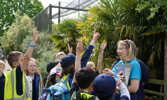 A trip to Chester Zoo for Statham Primary School